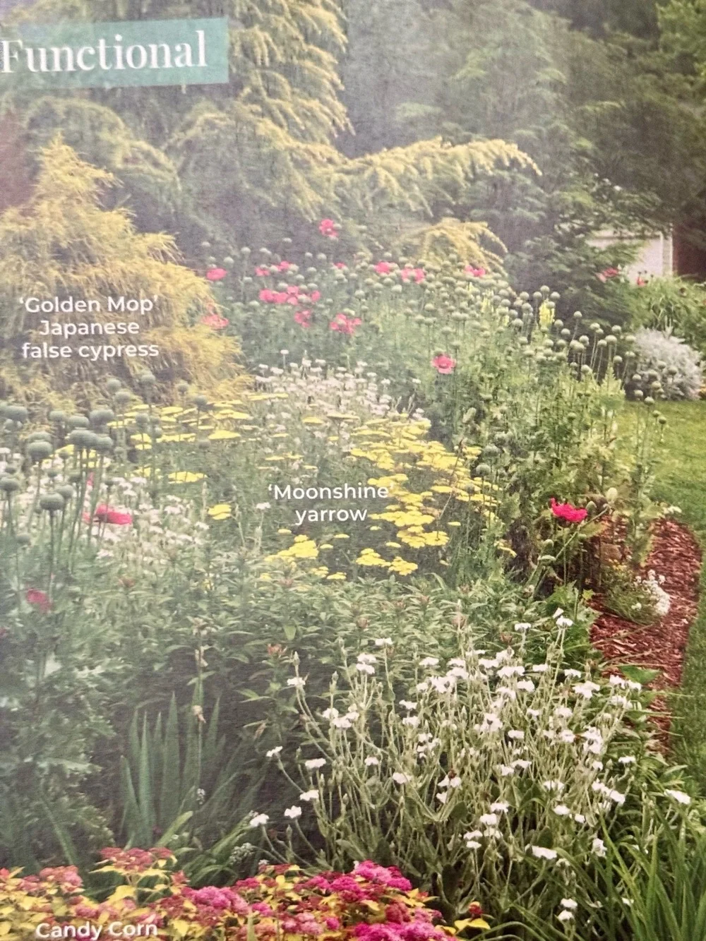 Garden Gate Magazine January/February 2025 Gardening Tips & Best New Plants